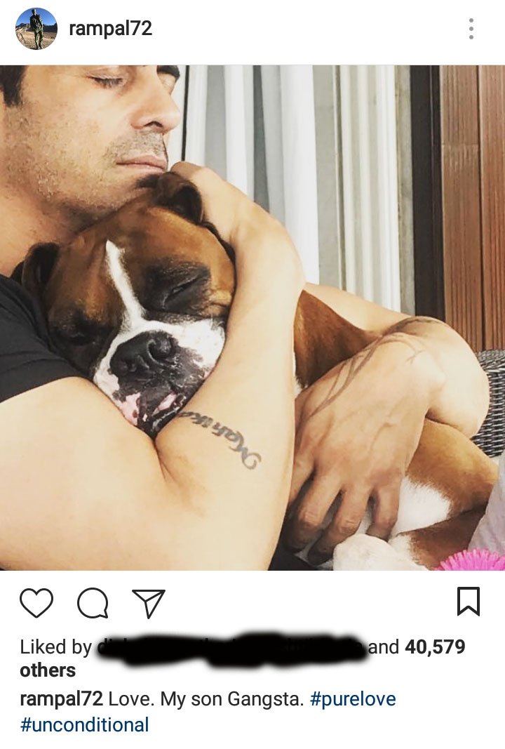 arjun rampal welcomes homeless puppy into his family after his