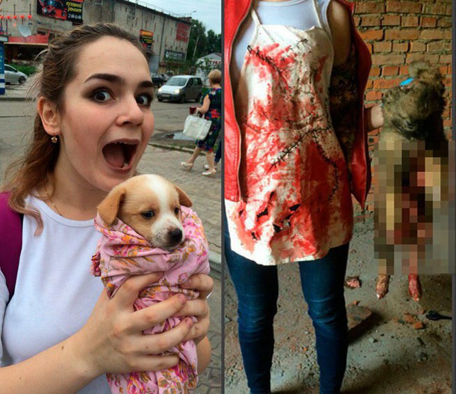 Russian Student Arrested for Allegedly Torturing and Killing Animals