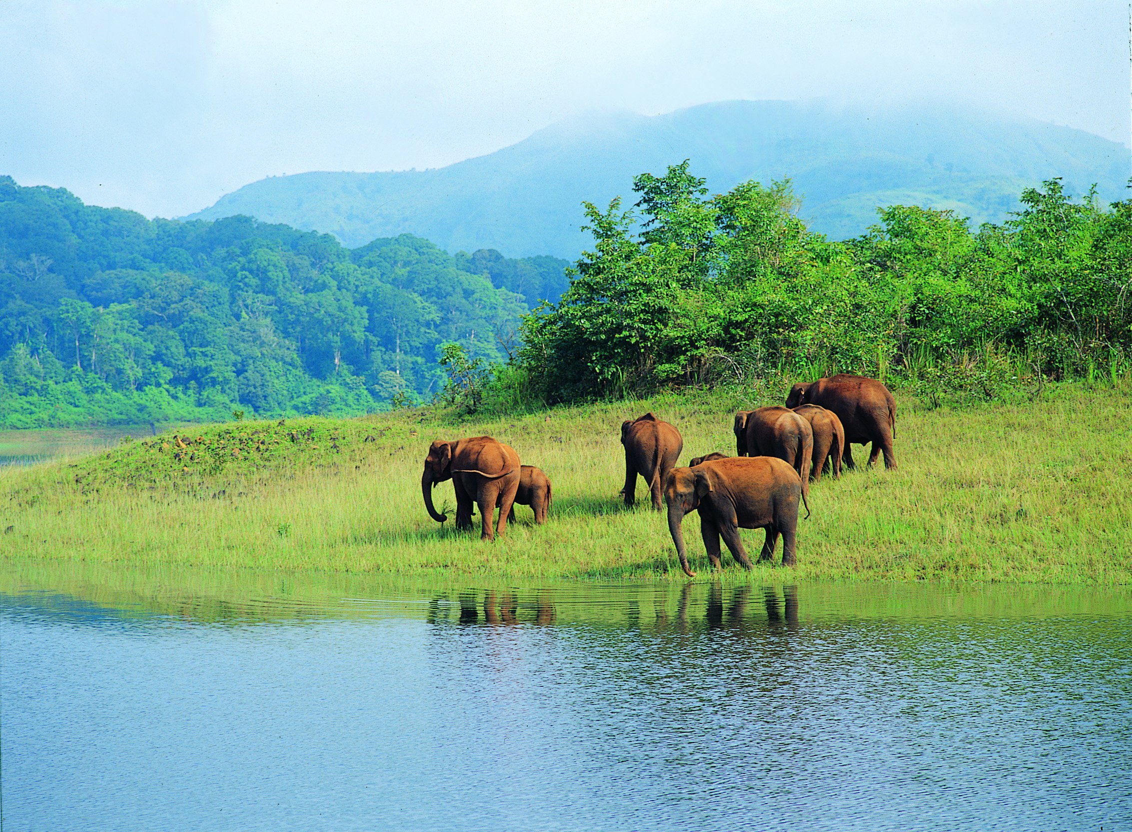 National Parks Wildlife Sanctuaries In India Map