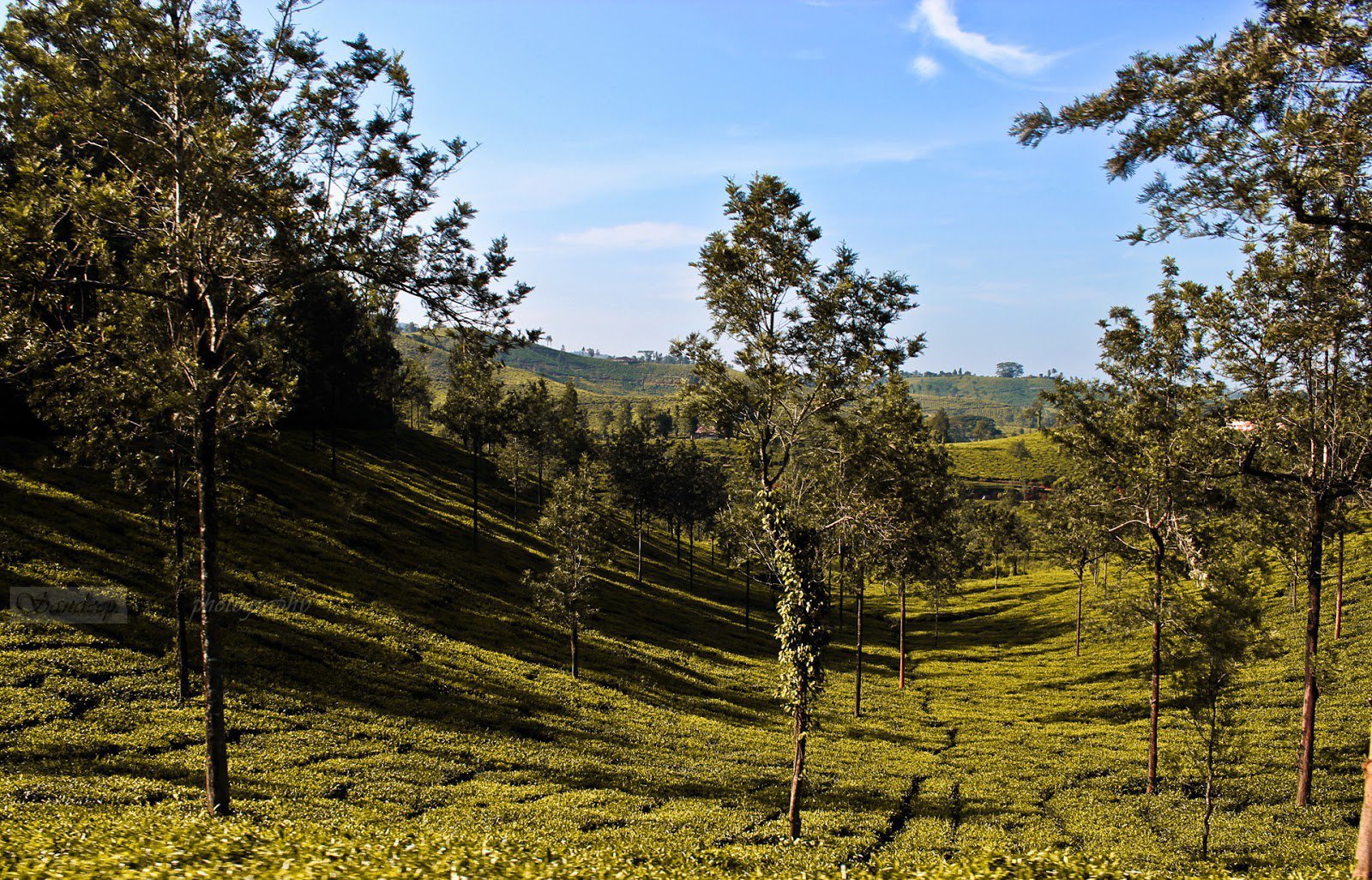 12-hill-stations-in-south-india-that-you-have-to-visit-once-in-your-life