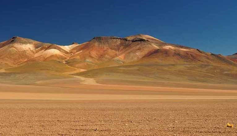 what-happens-when-rain-falls-on-earth-s-driest-desert-a-beautiful