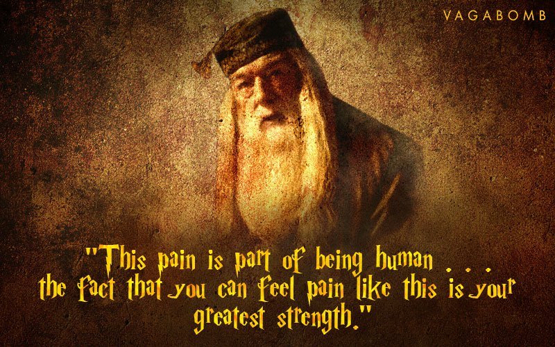 20 Albus Dumbledore Quotes That Will Always Remain Magical