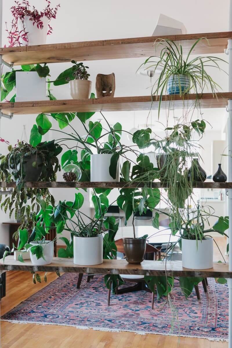 50 Ways to Decorate with Plants Even If You Have a Small ...