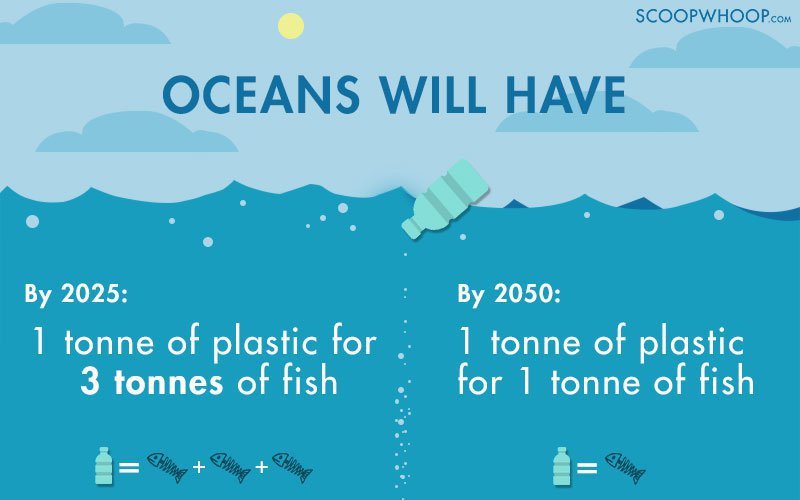 In Just 35 Years, Oceans Will Contain More Plastic Than Fish
