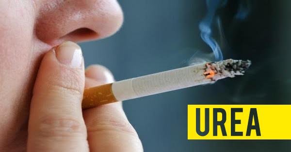 10 Disgusting Things Youâ€™re Inhaling With Every Puff Of Cigarette