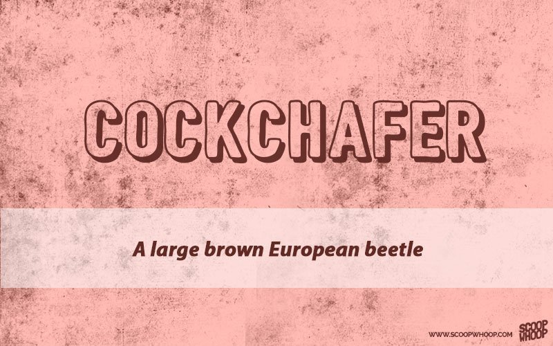 27-english-words-that-sound-really-dirty-but-actually-aren-t