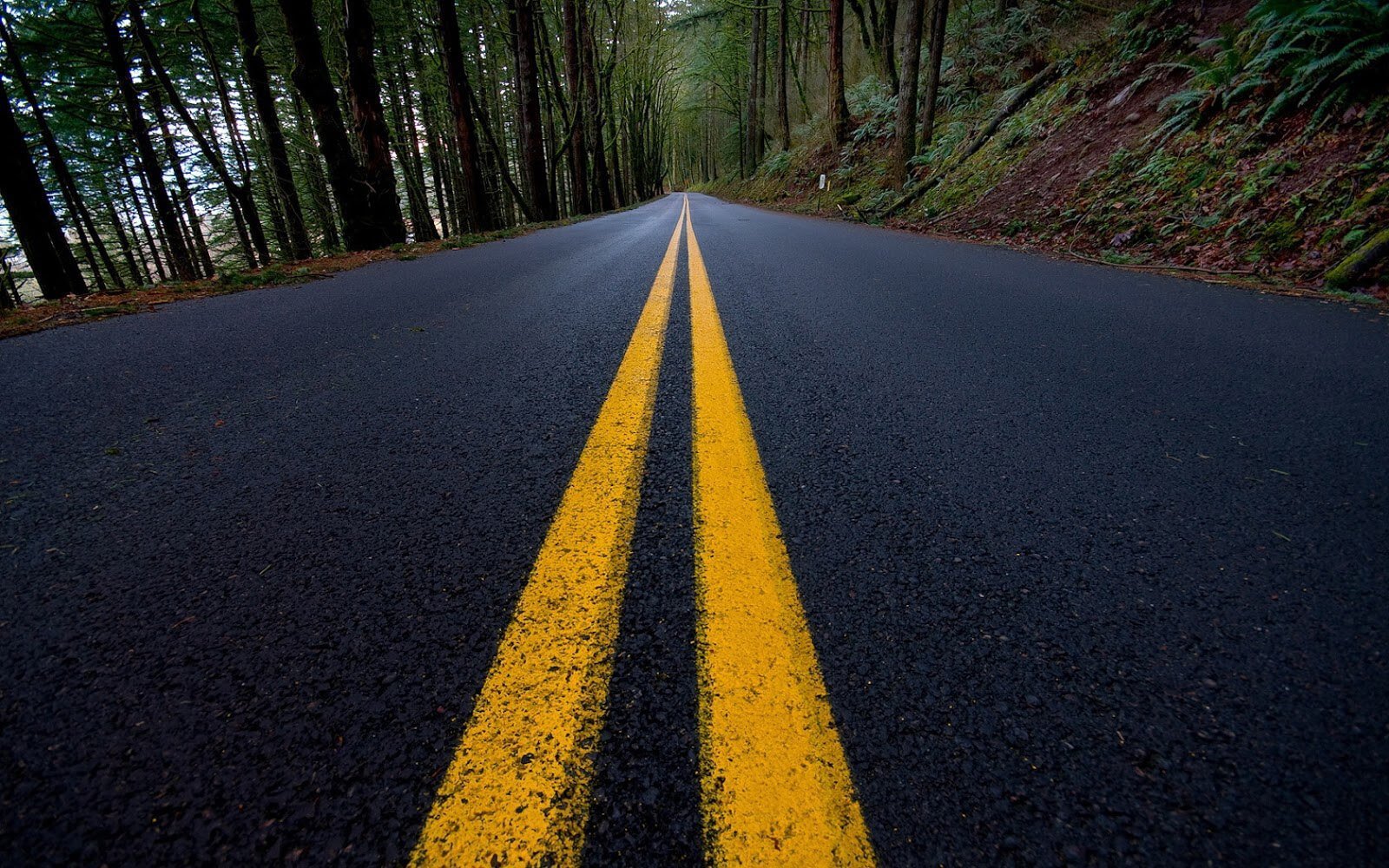 true-or-false-two-solid-yellow-lines-on-the-roadway-mean-that-passing