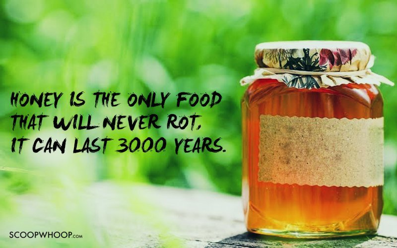 30-interesting-facts-about-food-we-bet-you-had-no-idea-about