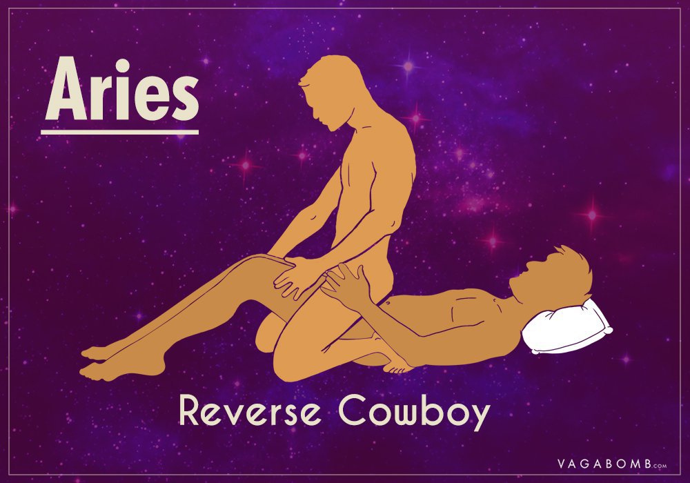 Zodiac sex position poster