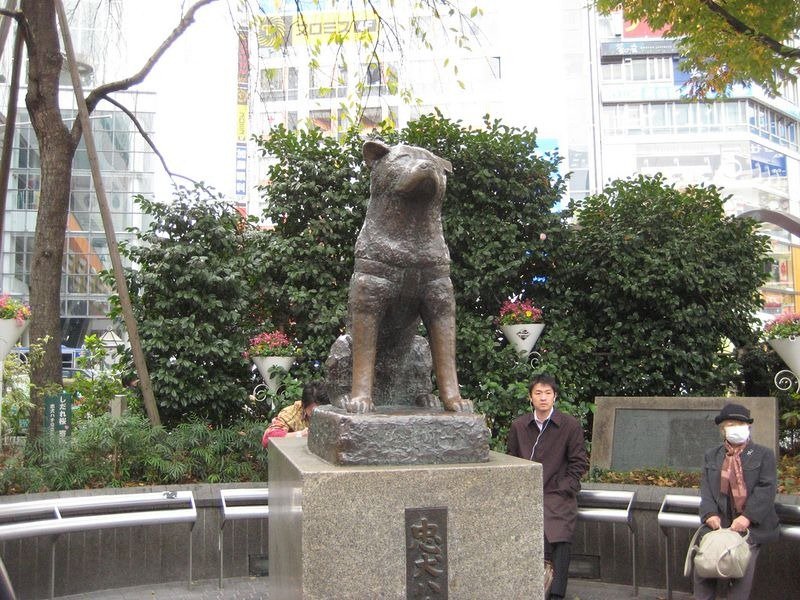 The Incredibly Heartwarming Story Of Hachiko, The Most Loving & Loyal ...