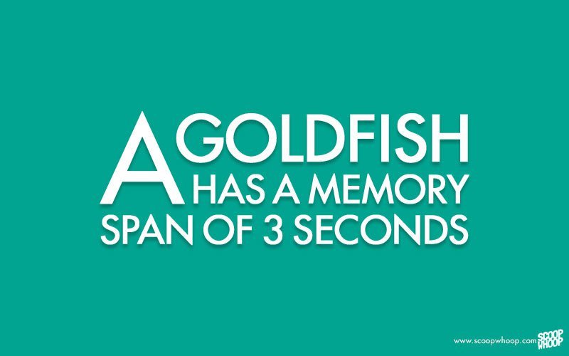 100 Of The Most Random Facts That Are Perfect To Kick Start Your Day With