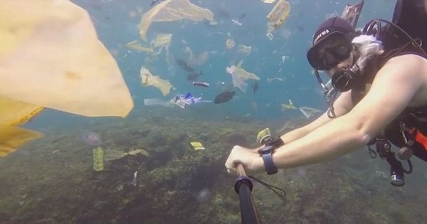 This Eye-Opening Video Of A Diver Swimming Through Plastic Waste Shows ...