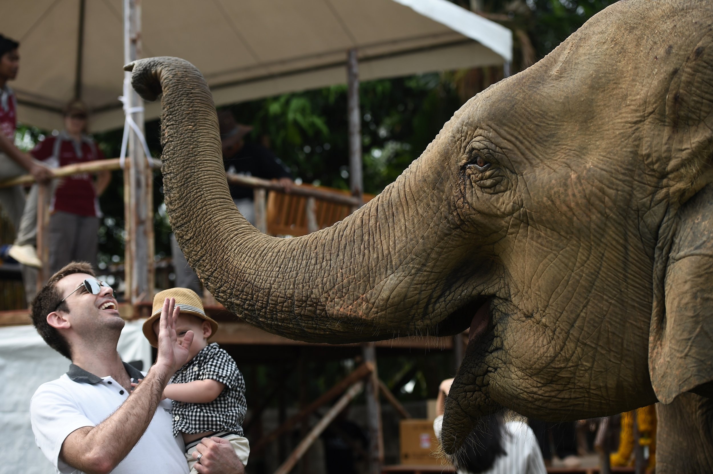 10 Animal-Human Friendships That Show What True Love & Loyalty Are All