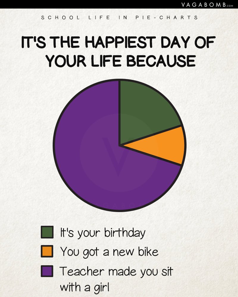 15 Pie Charts to Remind Us of Our School Days and Bring Back All the Feels
