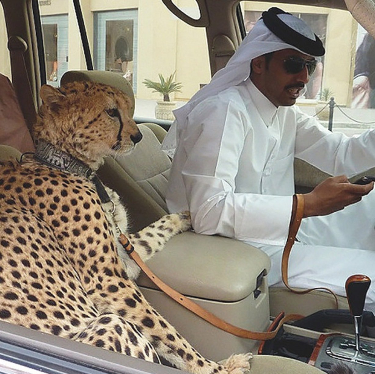 these-15-photos-of-filthy-rich-arabs-doing-rich-people-things-will-make