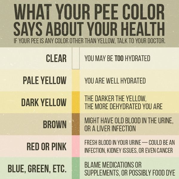 30 Interesting Facts You Probably Didn’t Know About Your Pee