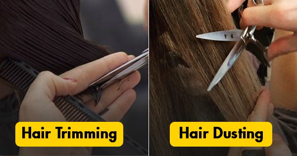 Trimming Your Hair Is So 2016 Go For Hair Dusting If You Want Long Healthy Hair