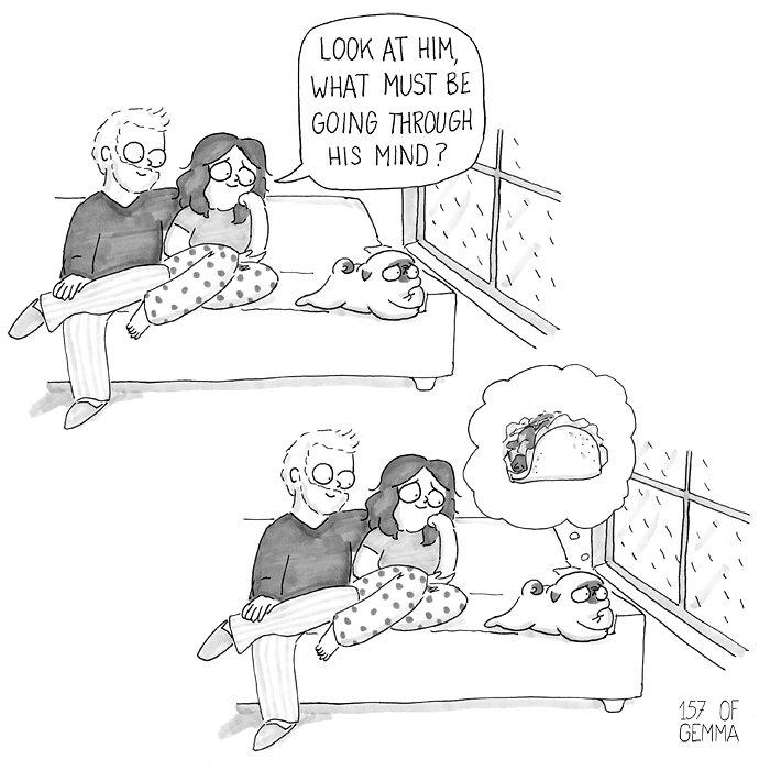 30 ‘Paw’dorable Comics That Perfectly Depict The Joys & Struggles Of ...