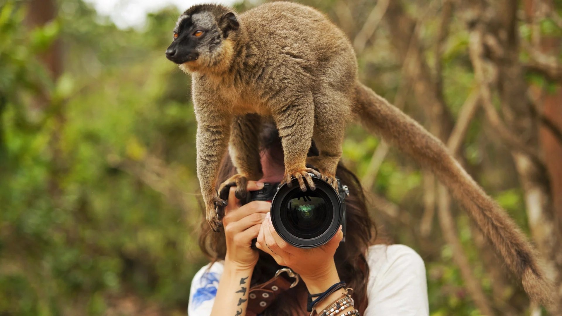 Interesting photo. Животные с фотоаппаратом. Фотограф и животные. Фотографирует животных. Смешные животные.
