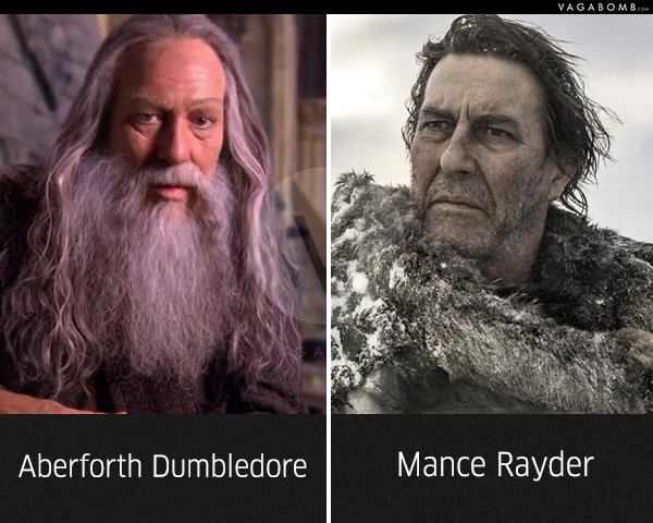 From Catelyn Stark to Walder Frey: 13 Harry Potter Actors Who Appeared