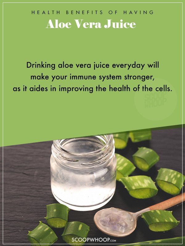 8 Health Benefits Of Drinking Aloe Vera Juice