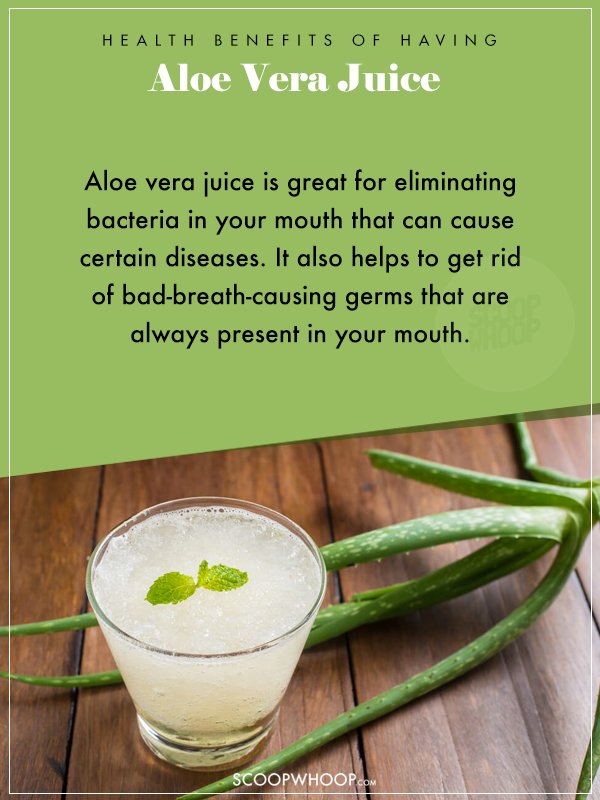 8 Health Benefits Of Drinking Aloe Vera Juice 6361