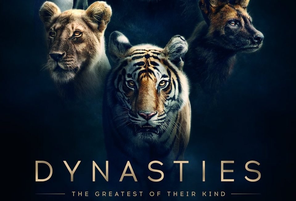 The Powerful Trailer Of BBC’s Documentary ‘Dynasties’, Starts With A