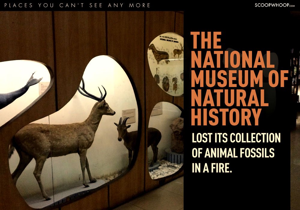 Museum Nasional Natural History, India