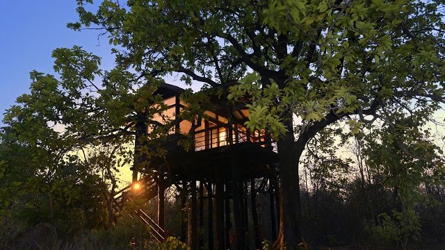 The Next Time You Travel Check Out These Gorgeous Tree House