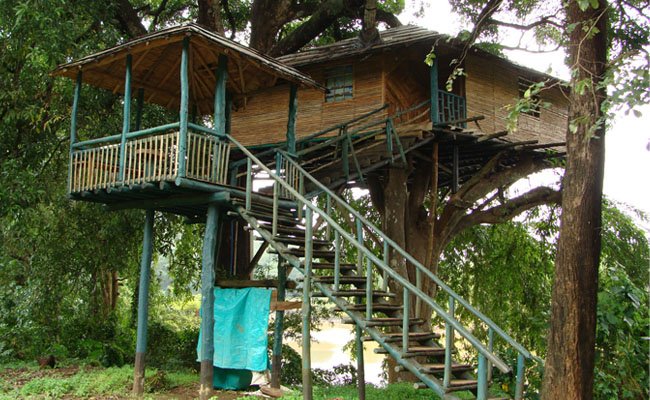 The Next Time You Travel Check Out These Gorgeous Tree House