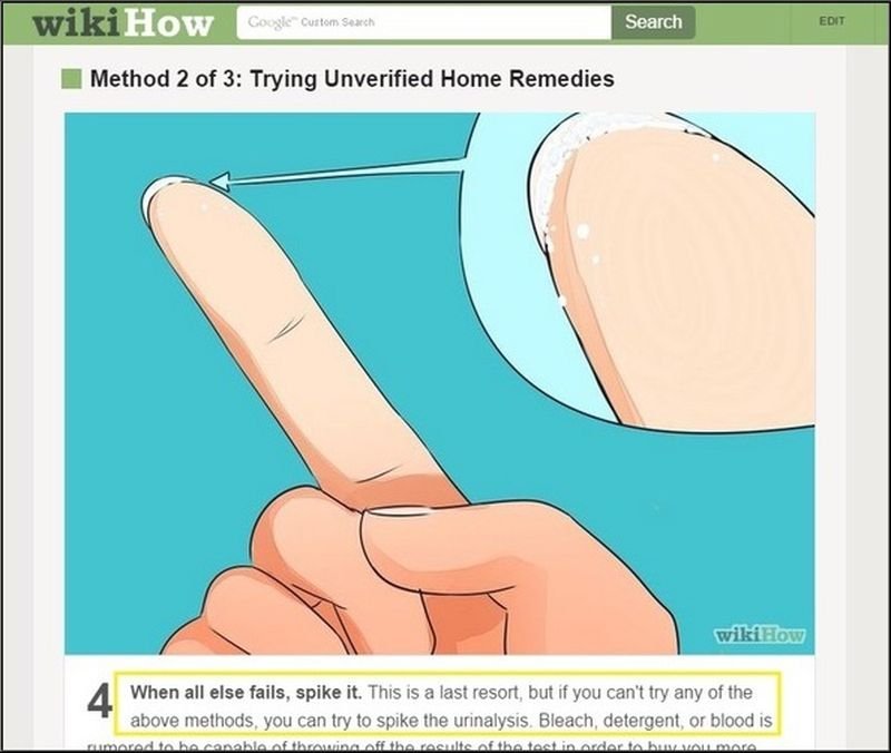10 Wtf Wikihow Pages You Won T Believe Actually Exist