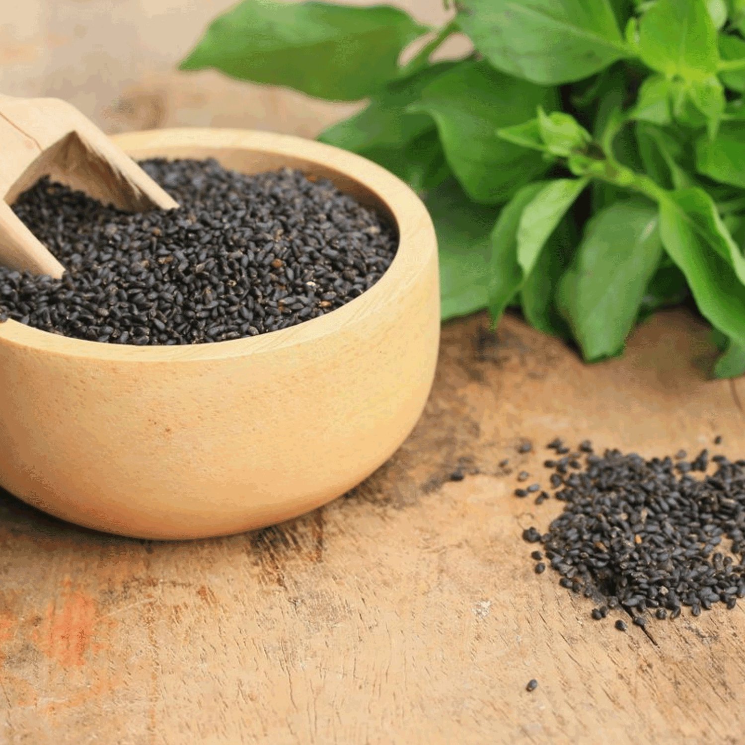 8 Health Benefits Of Basil Seeds That You Should Know About