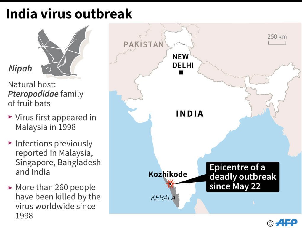 Nipah Kerala Outbreak: Everything To Know About The Deadly Nipah Virus