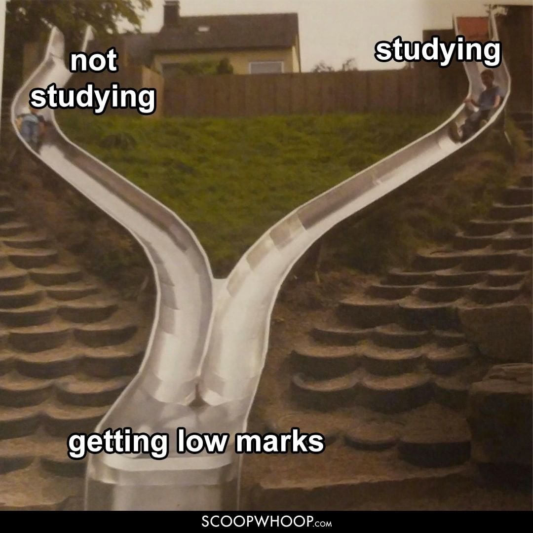 Studying / not studying meme