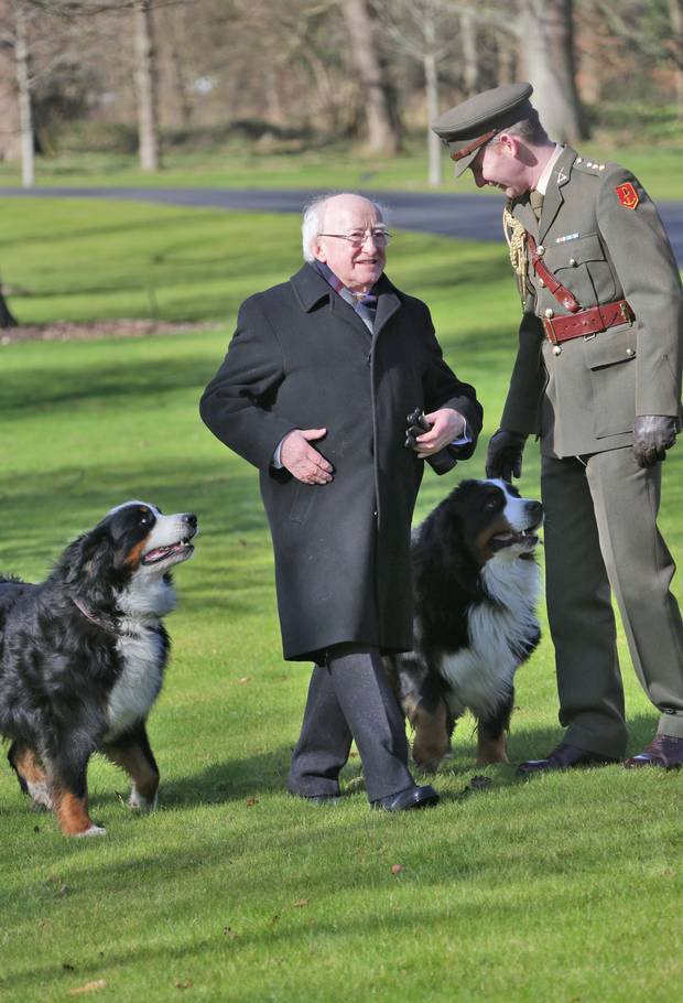 18 Photos Of The Irish President & His Doggos, Who Are By His Side Even ...