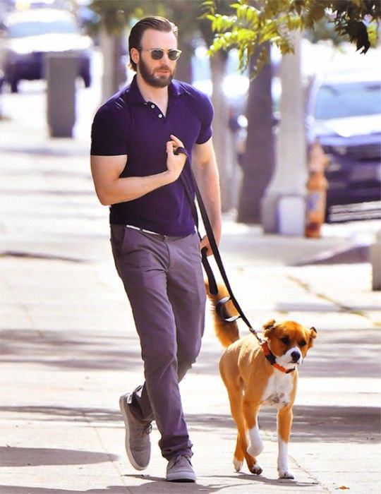 Just Photos Of Chris Evans & His Dog, Dodger To Make Your Day Better