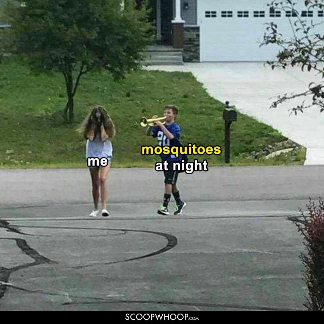 Mosquitoes at night