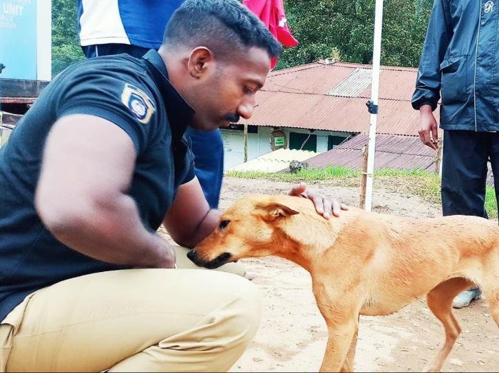 Kuvi, The Dog That Traced Its Owner's Body In Munnar Landslide, To Be Adopted By Police Dog Trainer 2
