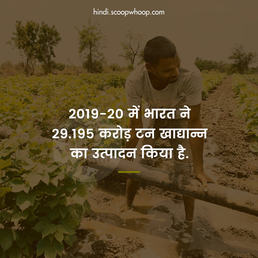 Facts About Farming In India That Show Just How Important Our Farmers Are