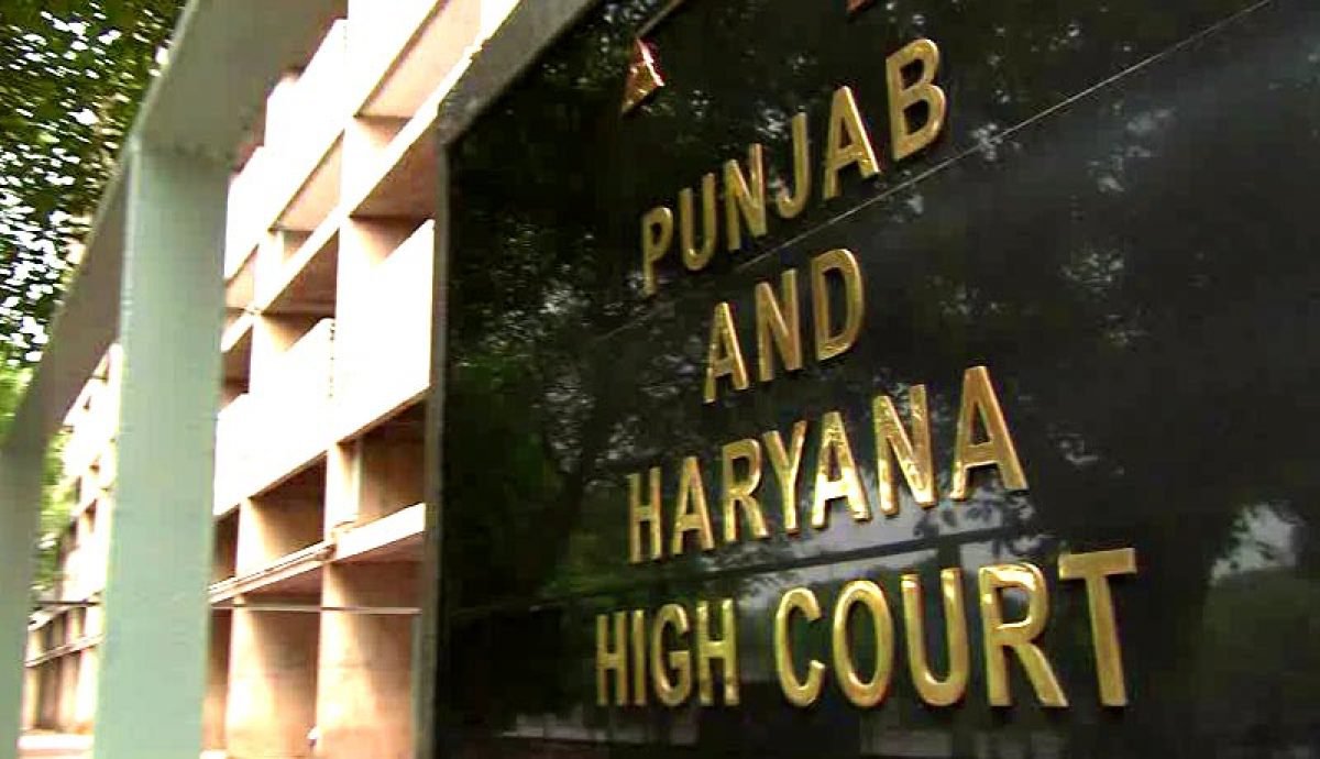 Punajb HC