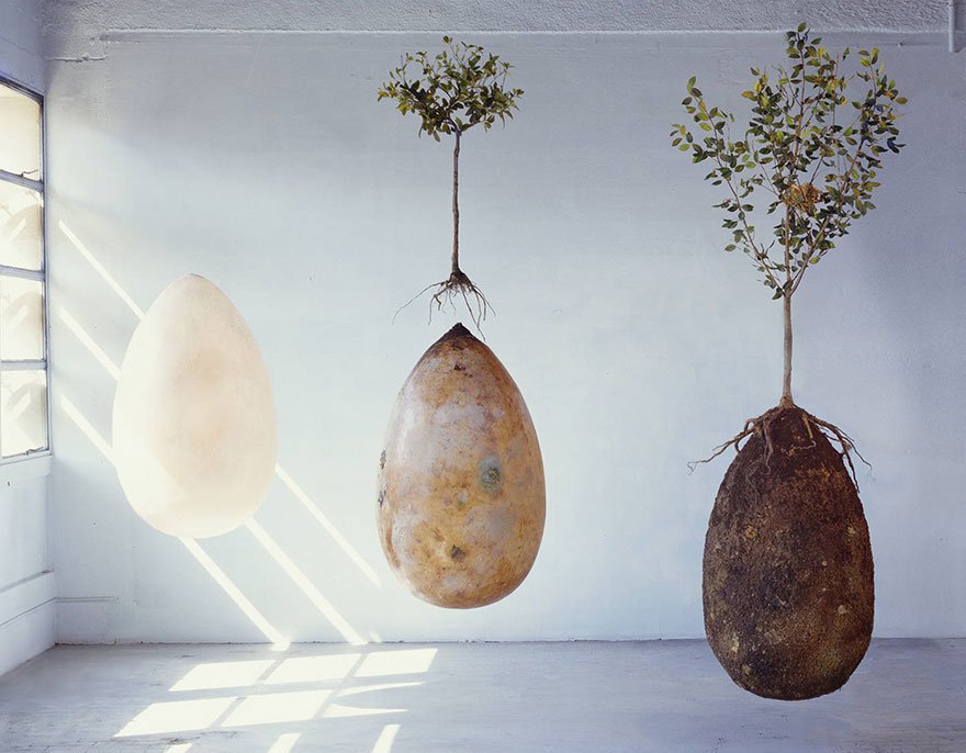 These Egg Shaped Burial Pods Can Help Turn Cemeteries Into Lush Green ...