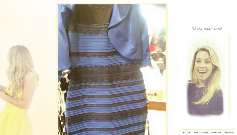 The Debate Over The Colour Of The Dress Finally Ended But Not Before ...